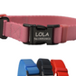 COLLAR PERSONALIZABLE