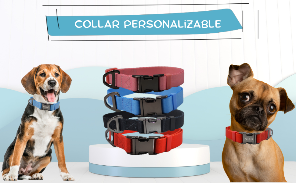 COLLAR PERSONALIZABLE